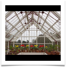 Glass House, Quarry Bank - Helen Kulczycki